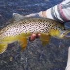 Fish Pic.jpg